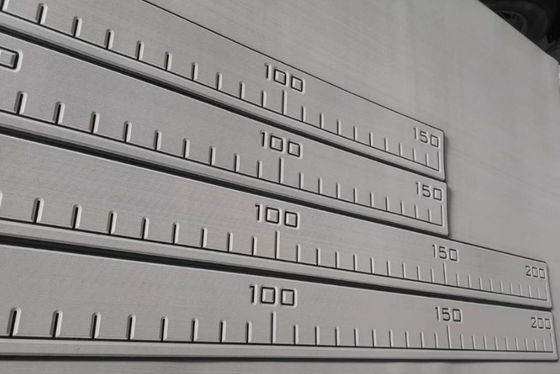 Forti 100 adesivi EVA Fish Ruler impressa resistente UV